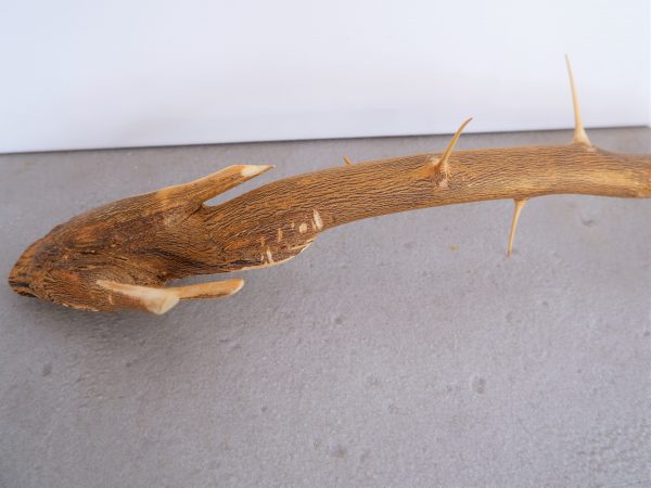 cucchiaio primitivo di legno con spine