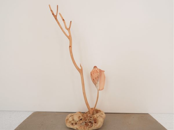 scultura cucchiaio realizzato con una conchiglia